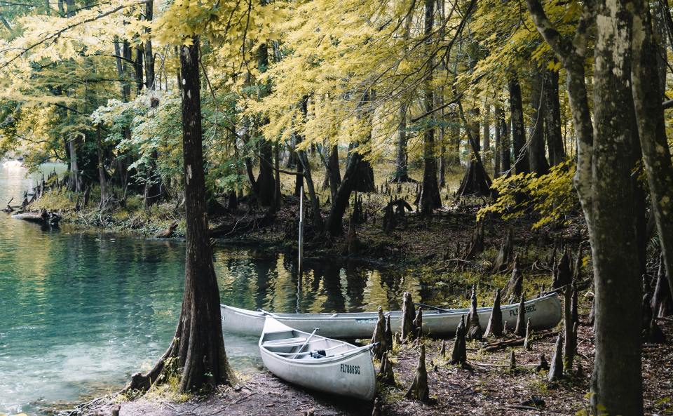 Photo by Maverick Ocean on Unsplash